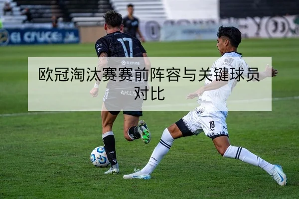 杯赛历史交锋与主客场胜率图表化查询