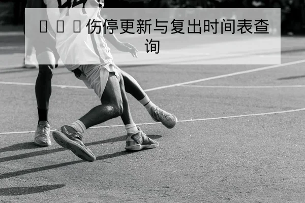 杯赛历史交锋与主客场胜率图表化查询